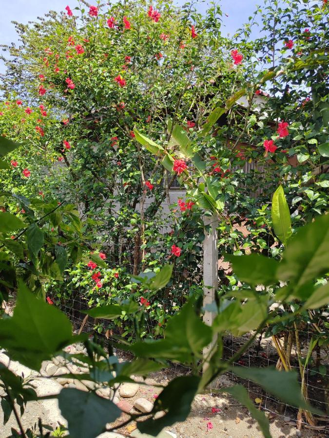Alba House Villa ปัวร์โตคิมาเนซ ภายนอก รูปภาพ